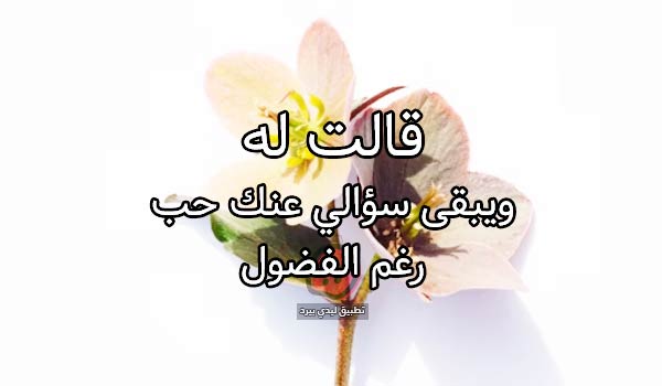 خواطر قال لها وقالت له